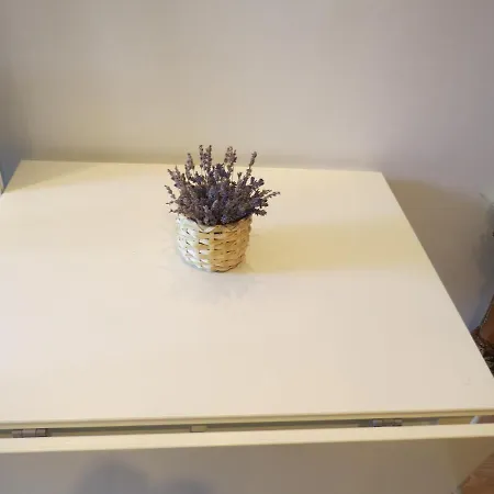 公寓 Bagoly Apartman 巴拉顿菲赖德